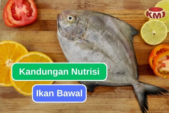 8 Jenis Nutrisi Yang Ada Dalam Ikan Bawal